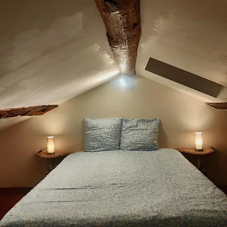 Willa Petite Maison En Pierre Aulas